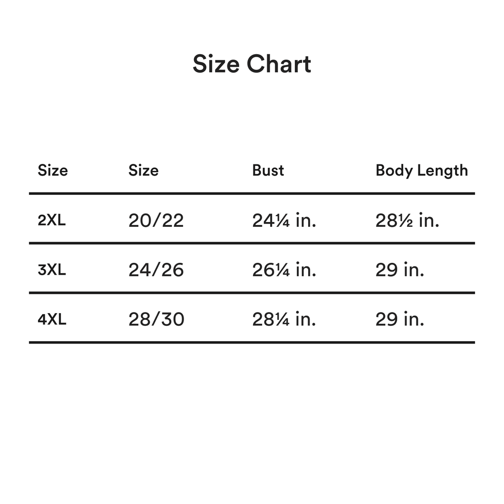 2xl Women's Everyday Tee 2XL-4XL | Detroit Labs